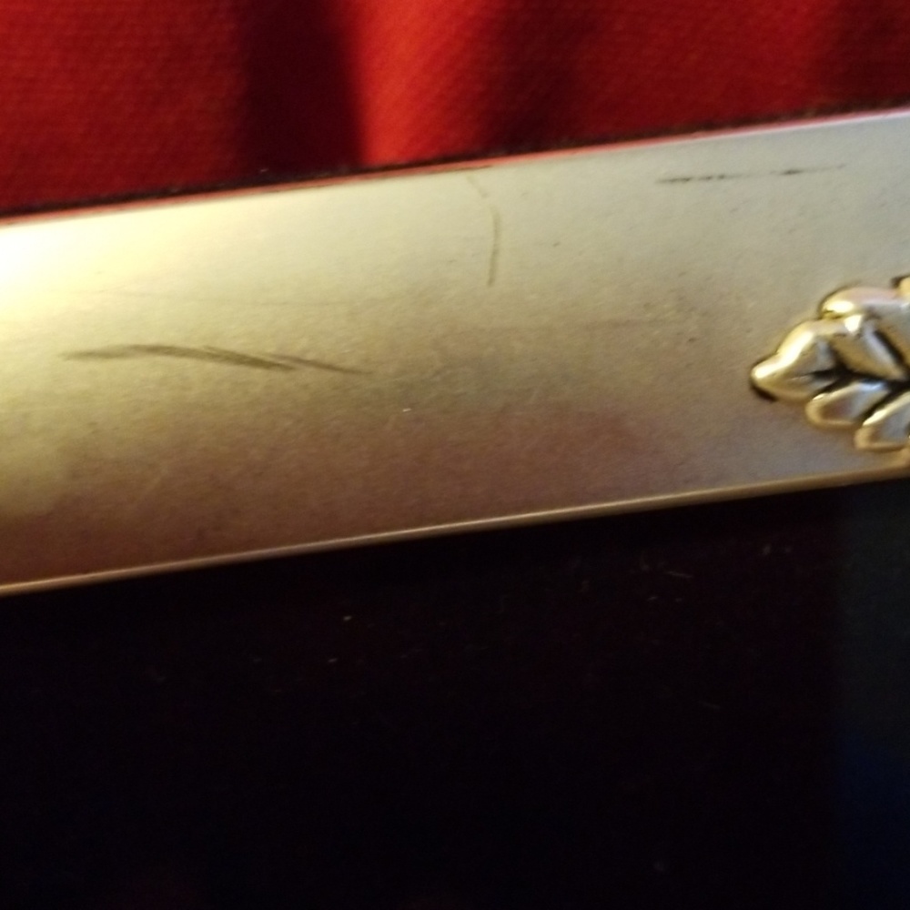 Silver Picture Album - Picture 4 of 4
